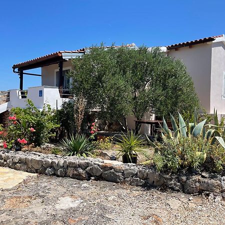 Holiday House Rusticana Sali, Dugi Otok Near Np Kornati エクステリア 写真